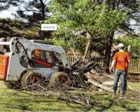 Syracuse Tree Service Experts image 3